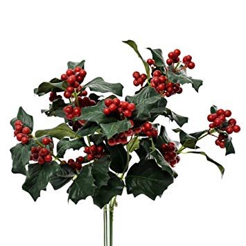 Holly Berry fragrance